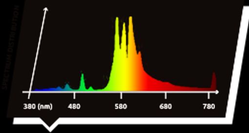 Lamp Spectral Pic